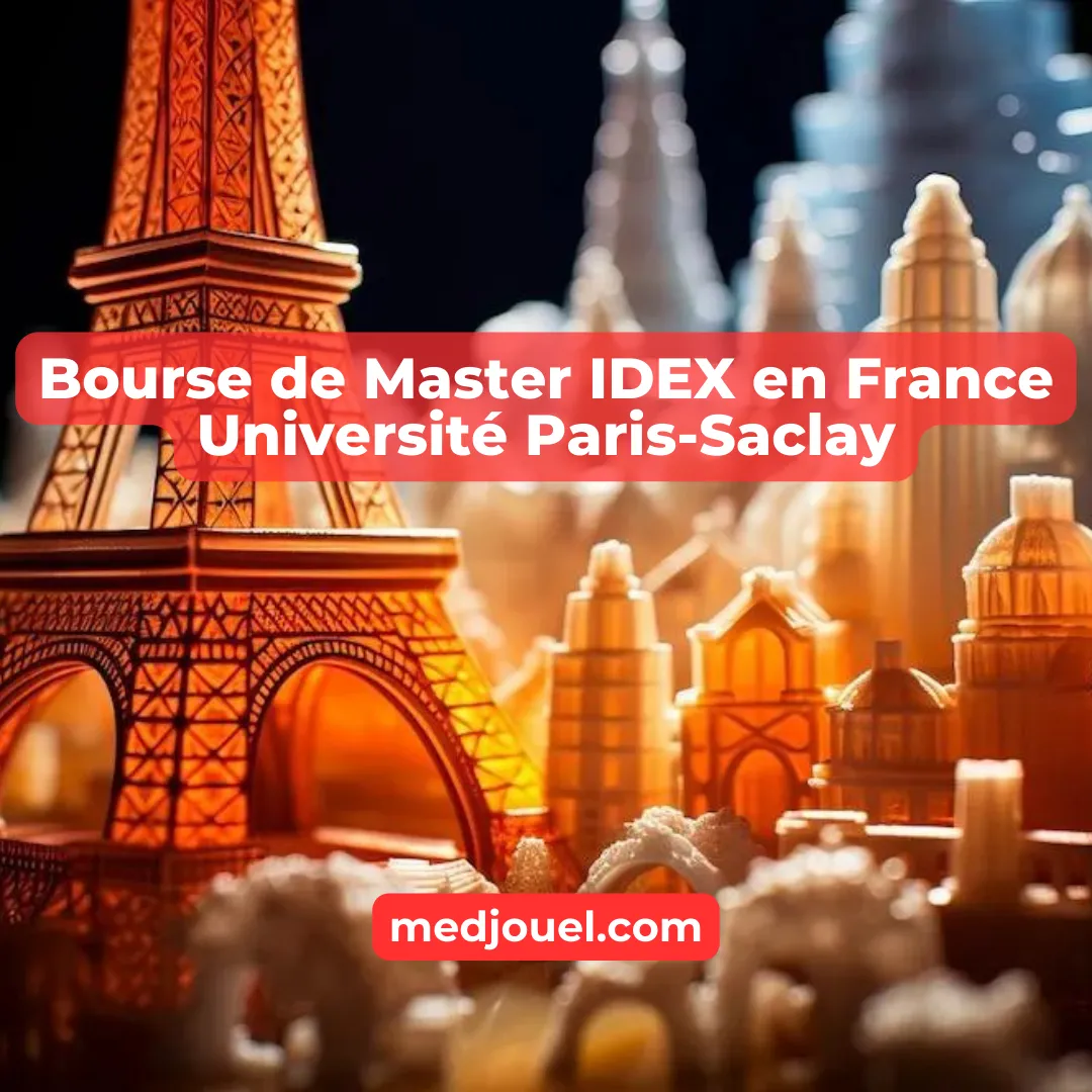 INTERNATIONALES MASTERSTIPENDIENPROGRAMM IDEX