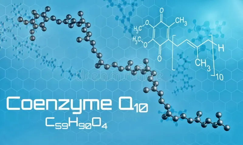 La coenzyme Q10 : Un potentiel prometteur pour ralentir la progression de la maladie de Parkinson