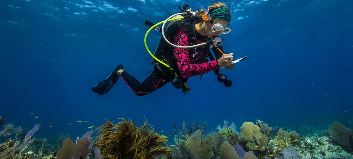 Programme de bourses POGO-SCOR pour la recherche océanique