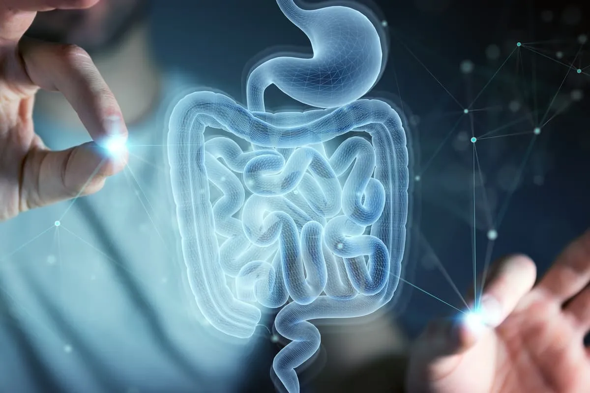 Pilule Révolutionnaire Capte le Microbiome Intestinal et Ouvre de Nouvelles Voies pour la Médecine Personnalisée