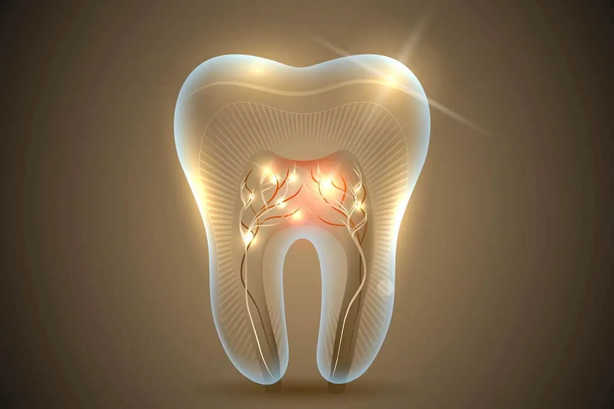 A Revolutionary Drug to Regrow Teeth: Could It Become a Reality?